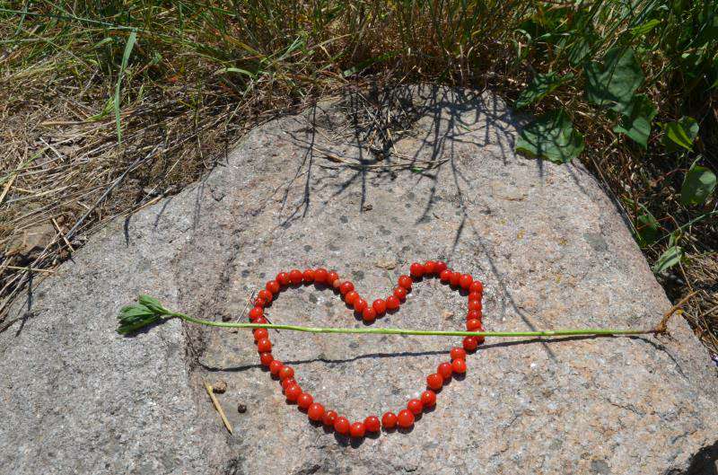 沃富新能源---沃富大聲的對沃富家人說：愛你們！